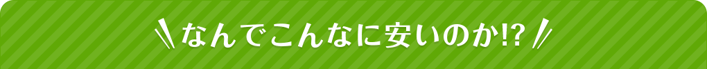 なんでこんなに安いのか!～ 